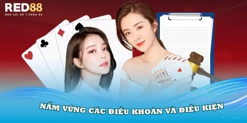 Cập nhật mới nhất về điều khoản điều kiện năm 2025