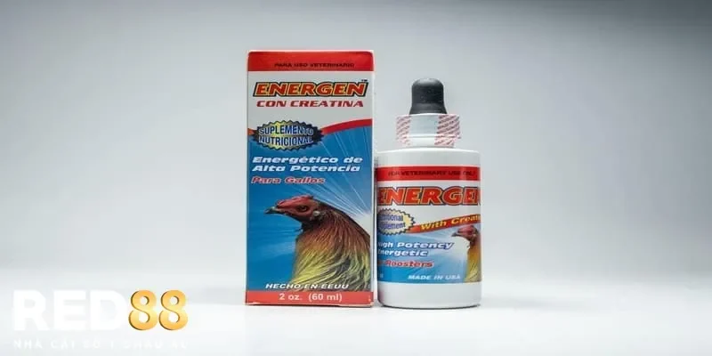 Sử Dụng Thuốc Gà Đá Energen Giúp Cải Thiện Sức Chiến Đấu